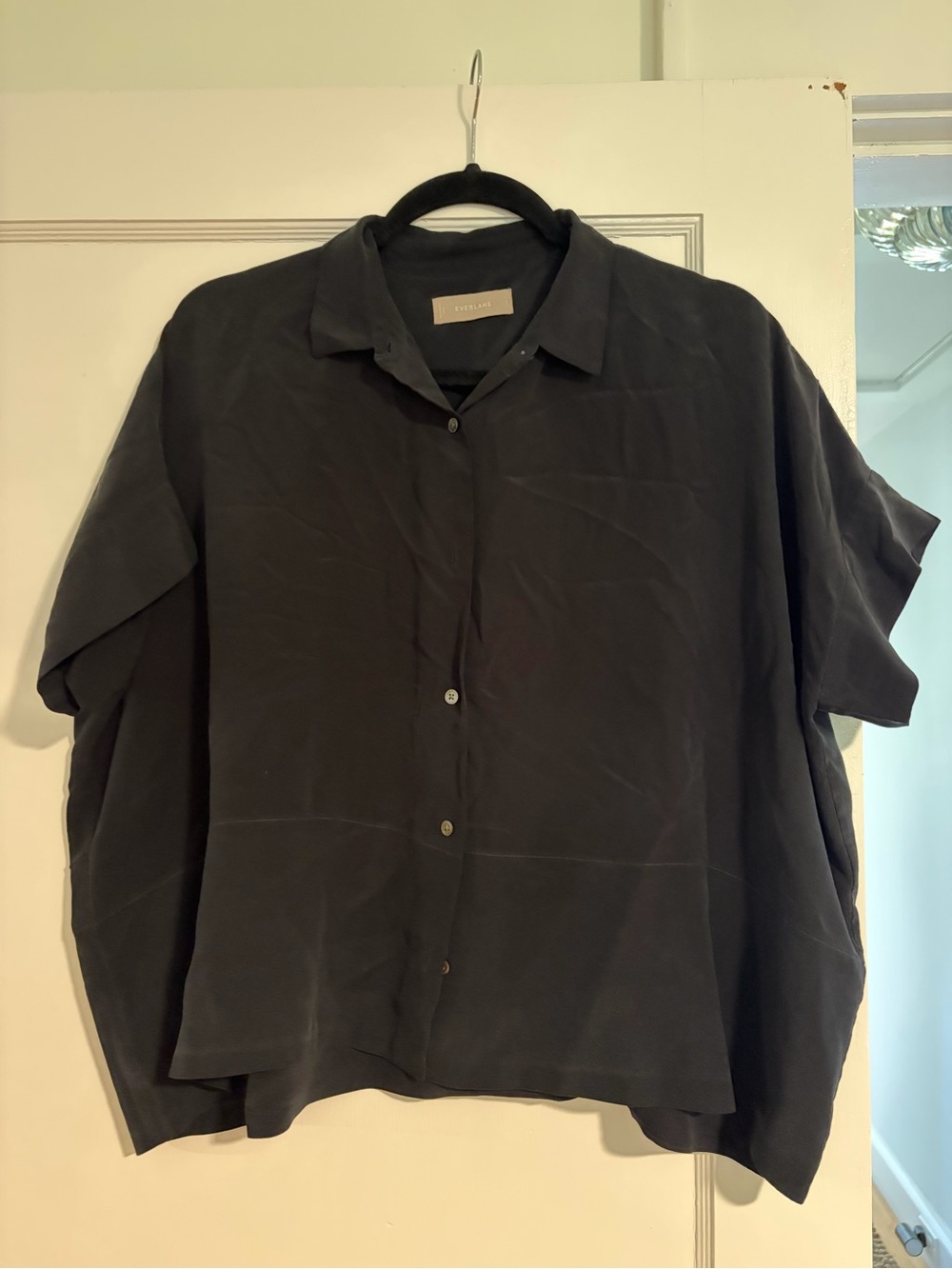 Everlane Silk Short Sleeve Button Down, Size 8